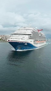 60K views · 978 reactions | Going wild Carnival Cruise. | cruiseshipsailings | Facebook