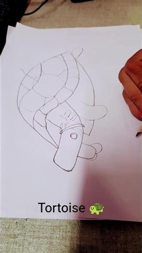easy tortoise 🐢 drawing # sketching # shorts 🐢🙂