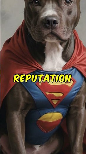 Alabai vs Pitbull: Showdown of Strength and Power!