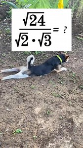 Let’s Simplify❓❓ #basics #algebra #basicreview #fypシ゚ #mathviral #fbreelsvideo #sharingiscaring #review #satmath #satexam #SATPrep #mathtutorial #reelsinstagram #infiniteguru #LETEXAM #civilservice #exams #reviewer #mathhelp #learnmath #mathproblemsolving #algebratutor #mathreview #boardexams #college #AdmissionTest #maths | Infinite Guru