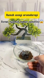 1.4M views · 13K reactions | Rumah wangi aromaterapi bonus nyamuk kabur seketika ‼️‼️ #tipsdantrick #tipspersapuran #tipsdapur #diy #tutorial #lifehacks #tipssimple | Aku Ela | Facebook