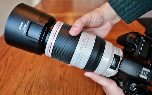 佳能 EF 100-400mm f4.5-5.6 IS USM 'L' 'ii' 镜头评测及样品（全画幅和 APS-C）