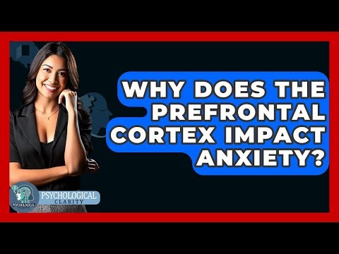 Why Does The Prefrontal Cortex Impact Anxiety? - Psychological Clarity