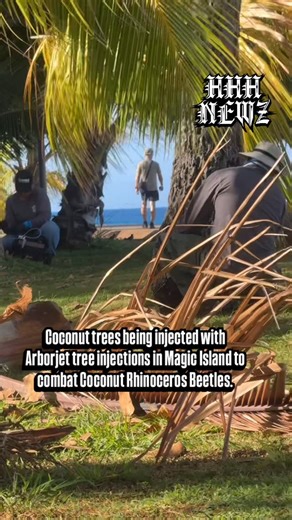 Isaac “HUNGRYHUNGRYHAWAIIAN” Scharsch on Instagram: "Allegedly Arborjet tree injections do not make the fruit edible; in fact, for some products, the opposite is true, and the fruit is not to be used for human or animal consumption after the injection, as stated in the Arborjet Pocket Guide. Arborjet injections are a method of delivering treatments for pest and disease control, as well as nutrient supplementation, directly into the tree’s system"