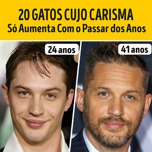 731K views · 3.1K reactions | 20 gatos cujo carisma só aumenta com o passar dos anos | Incrível Entertainment | Facebook