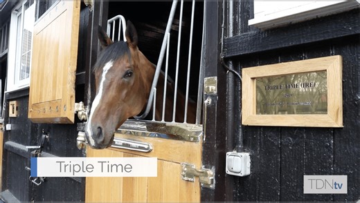 Triple Time's First Foals Impressing