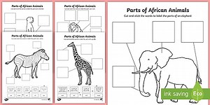 Parts of African Animals Cut and Paste Worksheets