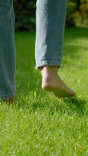 Nothing says summer like a fresh-cut lawn! ☀️ Keep your mower blades sharp and your lawn picture-perfect with Vermont Multisharp Rotary Mower & Tool sharpener. Vermont Sales | #vermontmultisharp #lawncare #gardengoals #sharpblades #summerlawn #diygarden #perfectlawn #staysharp #mowermaintenance #homeandgarden #cleancut #gardenessentials | The Gardener Magazine