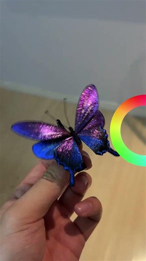 Unveil the Velvet Flower Kingdom with a Spin of the Color Wheel