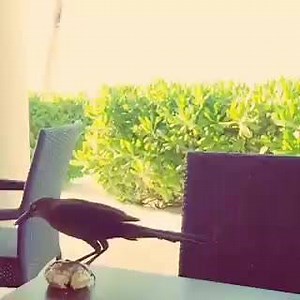 4.4K views · 82 reactions | Breakfast with Tiffany ... | Rachel Hunter | Facebook