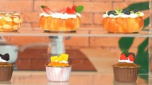 YBSVO 2 Tray Bakery Display Case with Front and Rear Doors - 21" x 17" x 12"