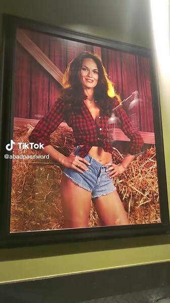 I'm guessing in the women's room they got David Hasselhoff, George Clooney, and Edward from Twilight. #FYP #Funny #Weird #StarWars