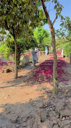 🥹💔#unfreezemyacount 🫣#veiwsproblem