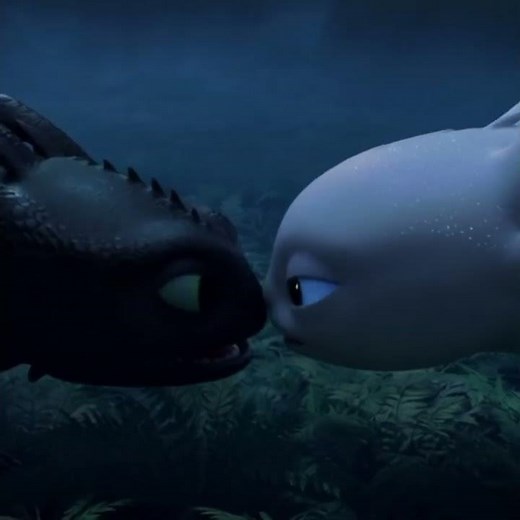 Toothless x lightfury #4🖤🤍