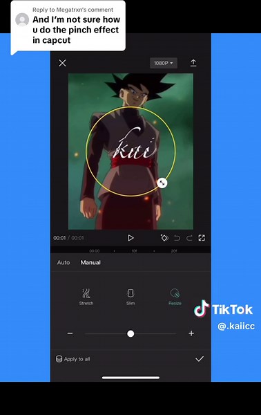 V S P Type Pinch CapCut Tutorial