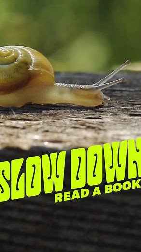 5.1K views | Are you feeling overwhelmed by content? You’re not alone. We’ll help you get back to reading with excerpts from four of the hottest books of the season: https://bit.ly/3Ju3pSY | Penguin Random House | Facebook