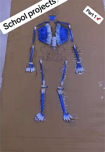 Creative School Projects for Grade 5: Skeleton Ideas