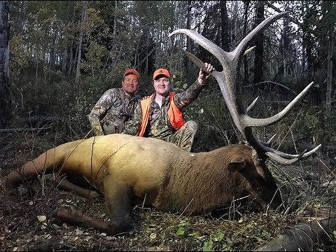 Father/Son Bull Elk Hunt on the Wasatch Unit