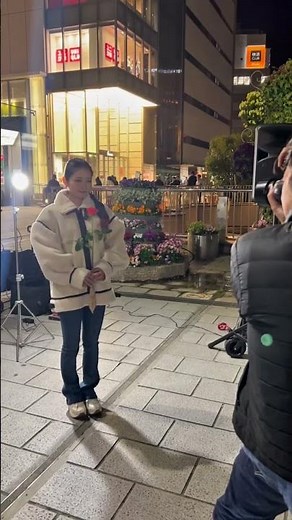 薔薇1本の花言葉とっても素敵🌹