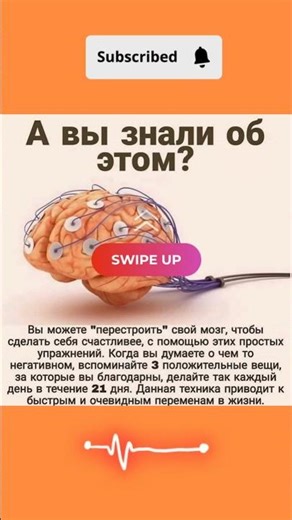 Головной мозг человека-Эта статья входит в число готовых статей #здороветіло #психология