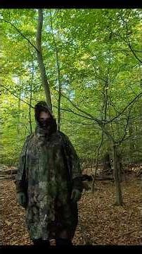 Phantomleaf Z3a - Tarnmuster im Laubwald