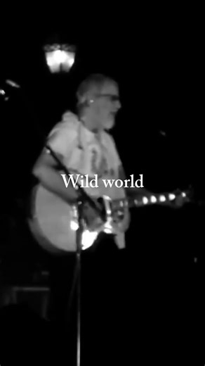 Understanding the Depth of 'Wild World' by Cat Stevens