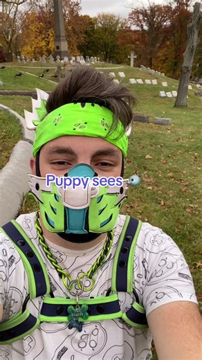 Puppy sees birds and deer! #PupPlay #HumanPups #PupHood
