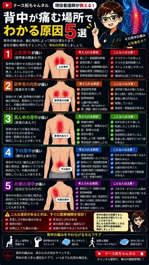 現役看護師が教える背中が痛む場所でわかる原因5選‼️ #背中 #背中の痛み #筋肉 #大動脈炎症候群 #看護師
