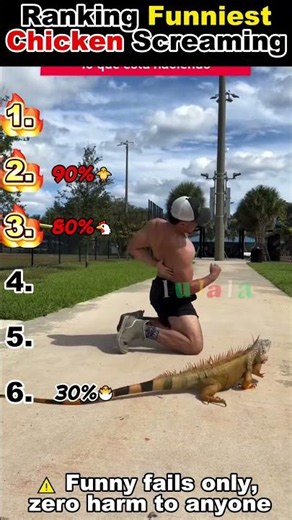 Ranking Funniest Chicken Screaming