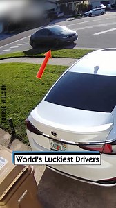 World's Luckiest Drivers | Torrie Wilson