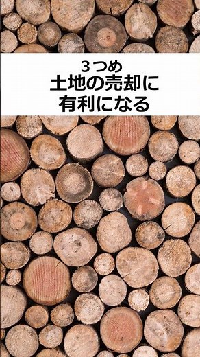 【庭の手入れ屋がオススメ】切り株を撤去する抜根のメリット3選 #ガーデニング #剪定 #庭木伐採 #抜根 #アウトドア #shorts