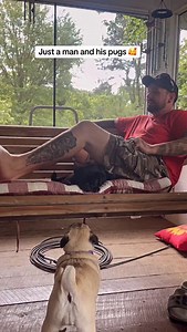 82K views · 2.9K reactions | My Pug said so. Vid Peach Mavis Puglife on TT | SpeakPug | Facebook