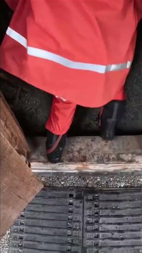 Building an Awesome Log Cabin: Construction and Artifacts! #shorts