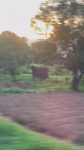 48K views · 5.3K reactions | Home❣️曆 Welcome new comers 﫢 The football season is back,Games on !! Sign up on Melbet now Use promo code NATASHA300 You will receive 300% bonus just upon registration  Use the link to register Link ➡️ https://cutt.ly/FrVsIG4x | Natasha Black child | Facebook