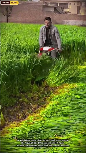 Efficient Walk-Behind Crop Cutter for Grass Harvesting and Field Maintenance in Farming
