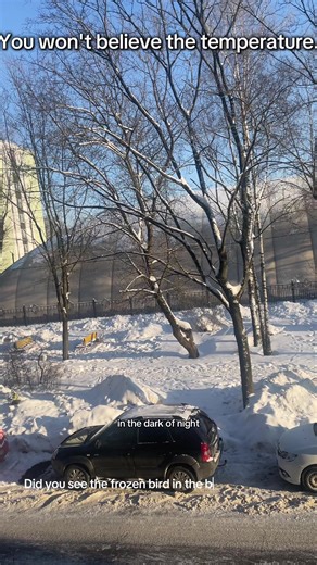 Winter 2026 Temperature Check in Russia: Share Yours