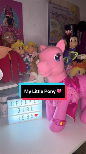2006 My Little Pony Pinkie Pie Cleaning Adventure