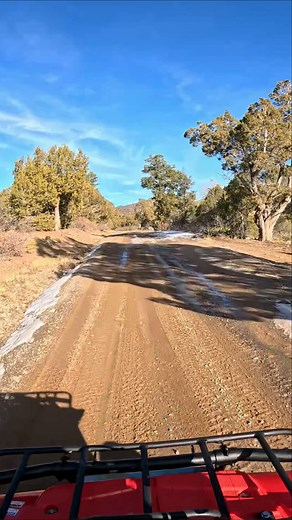 1st Ride on the Timberwolf in 15+ Years #atv #quads #yamaha #fyp #riding #shorts #trailriding