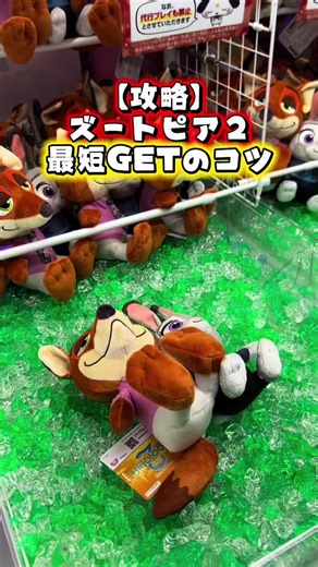 【4強】保存必須の取り方❣️ #ufoキャッチャー #クレーンゲーム #clawmachine #zootopia #zootopia2