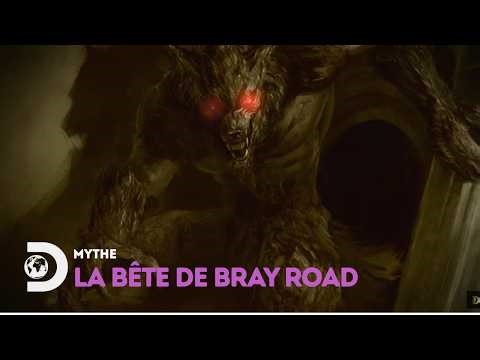 Créature Surnaturelle ou Animal Inconnu ? Enquête sur la Bête de Bray Road - Monstres & Légendes