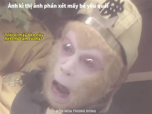 Tay Du Ky: Hành Trình Khám Phá và Tiếng Cười