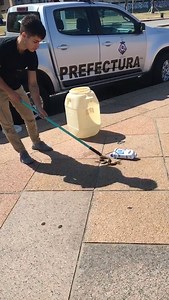 256K views · 1.4K reactions | Rescate de una crucera (Bothrops...