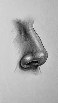 How to Draw a Realistic Nose 👃 Easy Step-by-Step #shorts