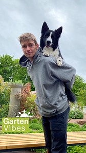 Heute ist Liebe-Dein-Haustier-Tag! 🐶❤️ Wir nehmen euch mit hinter die Kulissen, als sich Dodo und Ninja auf ihren großen Parkour-Auftritt vorbereitet haben. Ein echtes Dreamteam – clever, schnell und einfach zum Verlieben! 🐾✨ | ZDF-Fernsehgarten