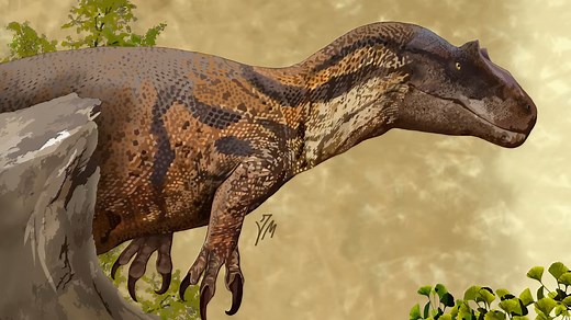 The fossil evidence revealing Allosaurus as a top hunter of its era