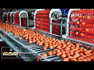 Modern Food Industry Machines That Are At Another Level