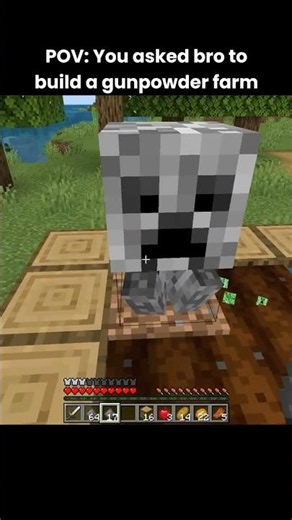 You asked bro to build a gunpowder farm
