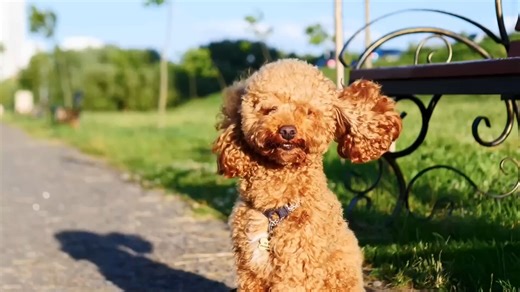 【双语字幕】美国小学二年级数学｜Fun 2nd Grade MathLessons!