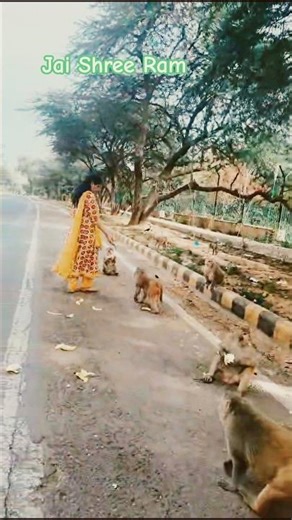 Cham cham nache dekho veer hanumana #jaishreeram🙏
