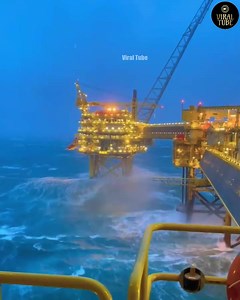 Amazing Facts #facts #factsdaily | Facts Book